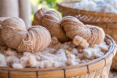 Jute: Un Tesoro Natural para la Fabricación de Textiles Resistentes y Biodegradables!