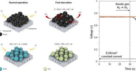 Yttrium Oxide Nanoparticles: ¿Revolucionarán la Fabricación de Celdas de Combustible y Catalizadores?